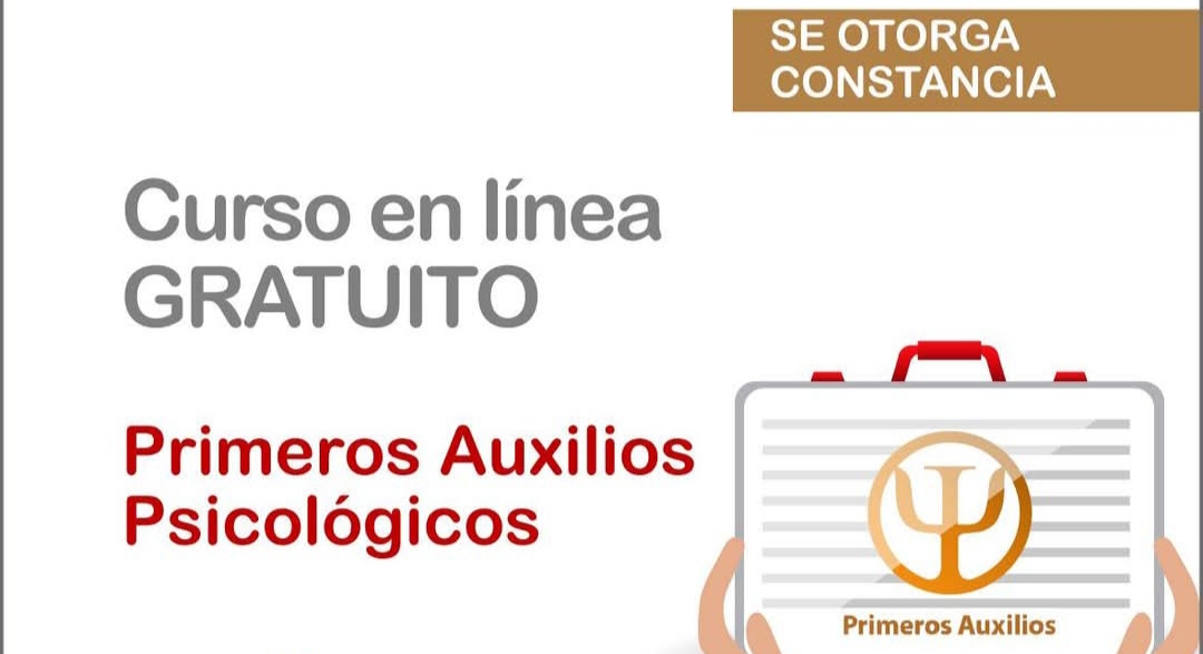 Cursos fundaculturas en linea